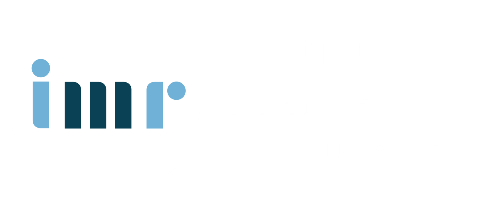 logo-imr-br1